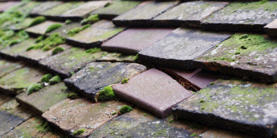 Felin Newydd roof repair costs